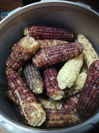 전국하님의 자유주제 · 자유게시판 작성글 사진