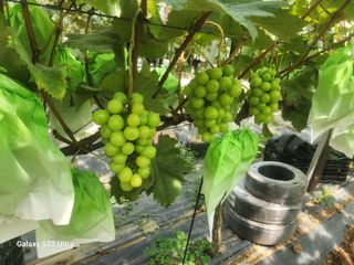 조현국님의 자유주제 · 사진전 작성글 사진