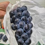 팜모닝 포도·영농일지 게시글 이미지