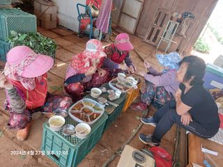 농촌이백억농원^^님의 고구마 · 영농일지 작성글 사진