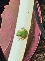 팜모닝 자유주제·자유게시판 게시글 이미지