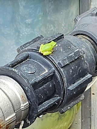 김덕조님의 자유주제 · 자유게시판 작성글 사진