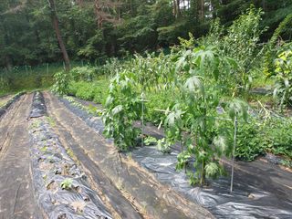 권재형님의 자유주제 · 자유게시판 작성글 사진