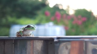 김찬경님의 복숭아 · 영농일지 작성글 사진