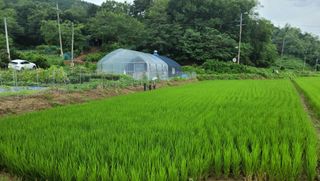 이순규님의 🌧️7월 내 작물 자랑하기 · 참여글 작성글 사진