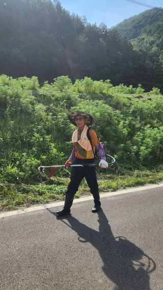 소리사랑 박주현님의 상추 · 영농일지 작성글 사진