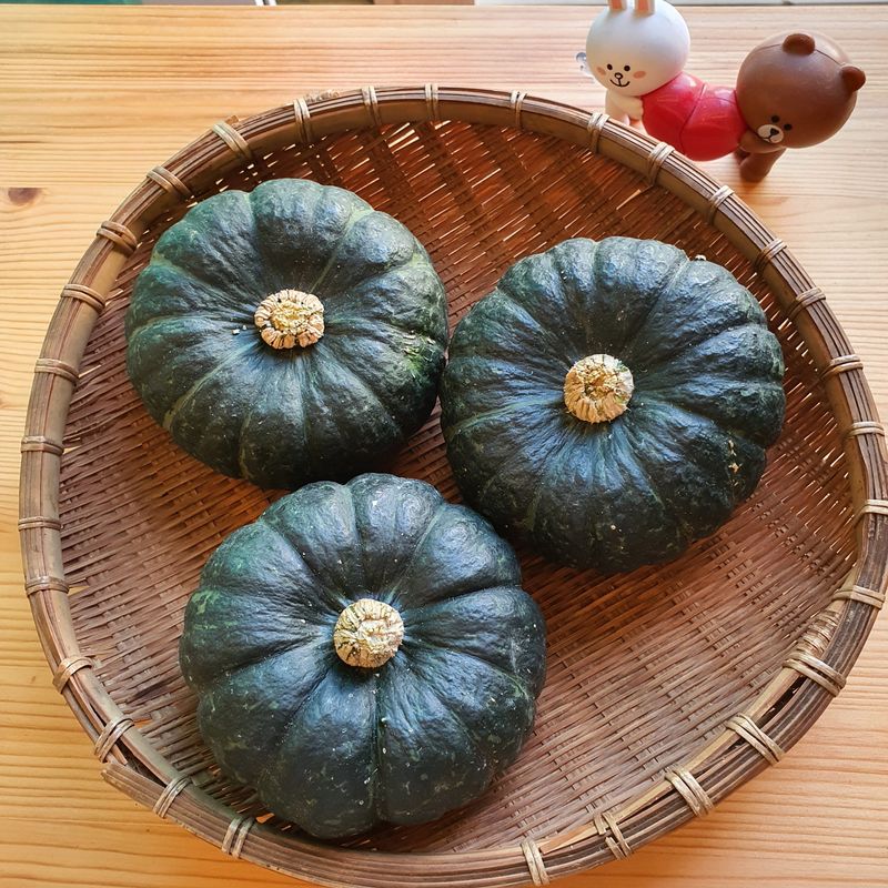 장터 상품 [미니단호박5kg] 썸네일