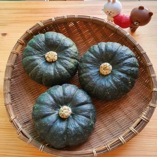 양기원님의 작성글 사진