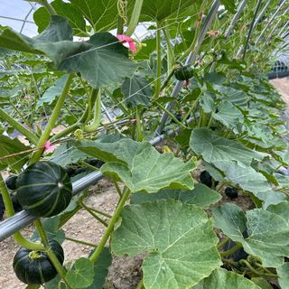 양기원님의 작성글 사진