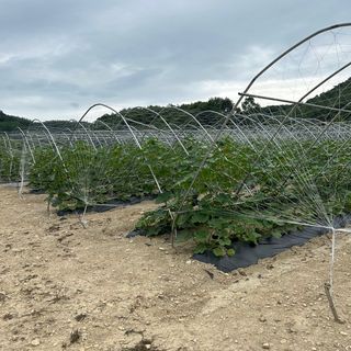 양기원님의 작성글 사진