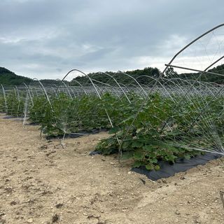 양기원님의 작성글 사진