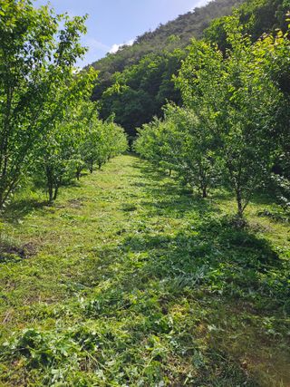 김희동님의 자유주제 · 자유게시판 작성글 사진