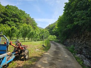 김희동님의 자유주제 · 자유게시판 작성글 사진