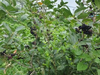 김양석님의 자유주제 · 자유게시판 작성글 사진