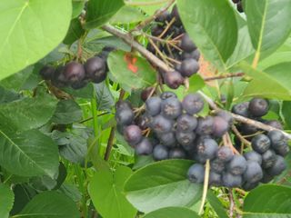 김양석님의 자유주제 · 자유게시판 작성글 사진