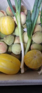 팜모닝 자유주제·자유게시판 게시글 이미지