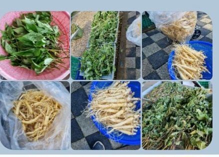 장터 상품 [인삼 2kg] 썸네일