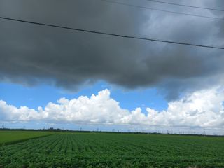 박린님의 자유주제 · 자유게시판 작성글 사진