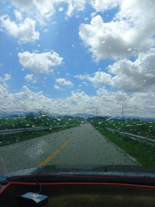 박린님의 자유주제 · 자유게시판 작성글 사진