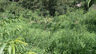 대지털님의 자유주제 · 자유게시판 작성글 사진