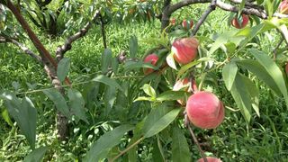 대지털님의 자유주제 · 자유게시판 작성글 사진