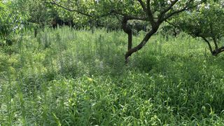 대지털님의 자유주제 · 자유게시판 작성글 사진