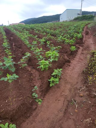 김종옥님의 자유주제 · 자유게시판 작성글 사진