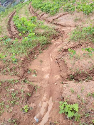 김종옥님의 자유주제 · 자유게시판 작성글 사진