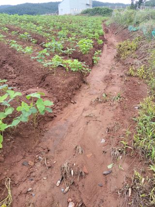 김종옥님의 자유주제 · 자유게시판 작성글 사진