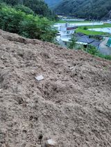 팜모닝 자유주제·자유게시판 게시글 이미지