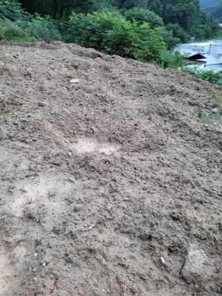 박수연님의 자유주제 · 자유게시판 작성글 사진