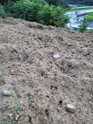 박수연님의 자유주제 · 자유게시판 작성글 사진