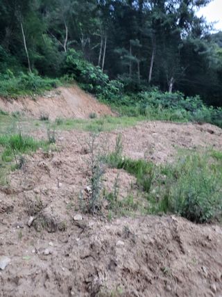 박수연님의 자유주제 · 자유게시판 작성글 사진