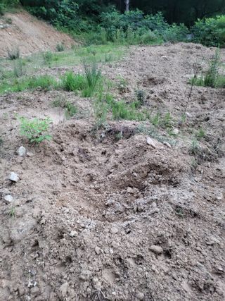 박수연님의 자유주제 · 자유게시판 작성글 사진