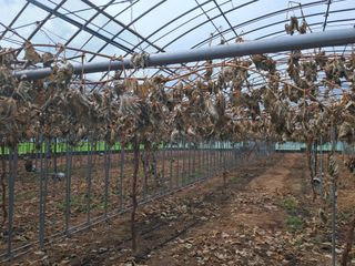 미스농부님의 자유주제 · 자유게시판 작성글 사진