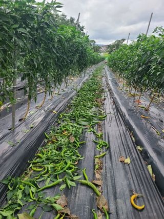 이뿐간장님의 자유주제 · 자유게시판 작성글 사진