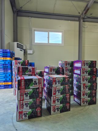 흥부골포도님의 자유주제 · 사진전 작성글 사진