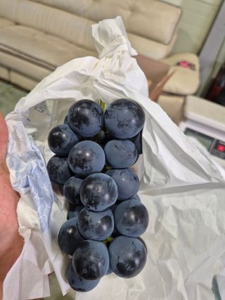 흥부골포도님의 자유주제 · 사진전 작성글 사진