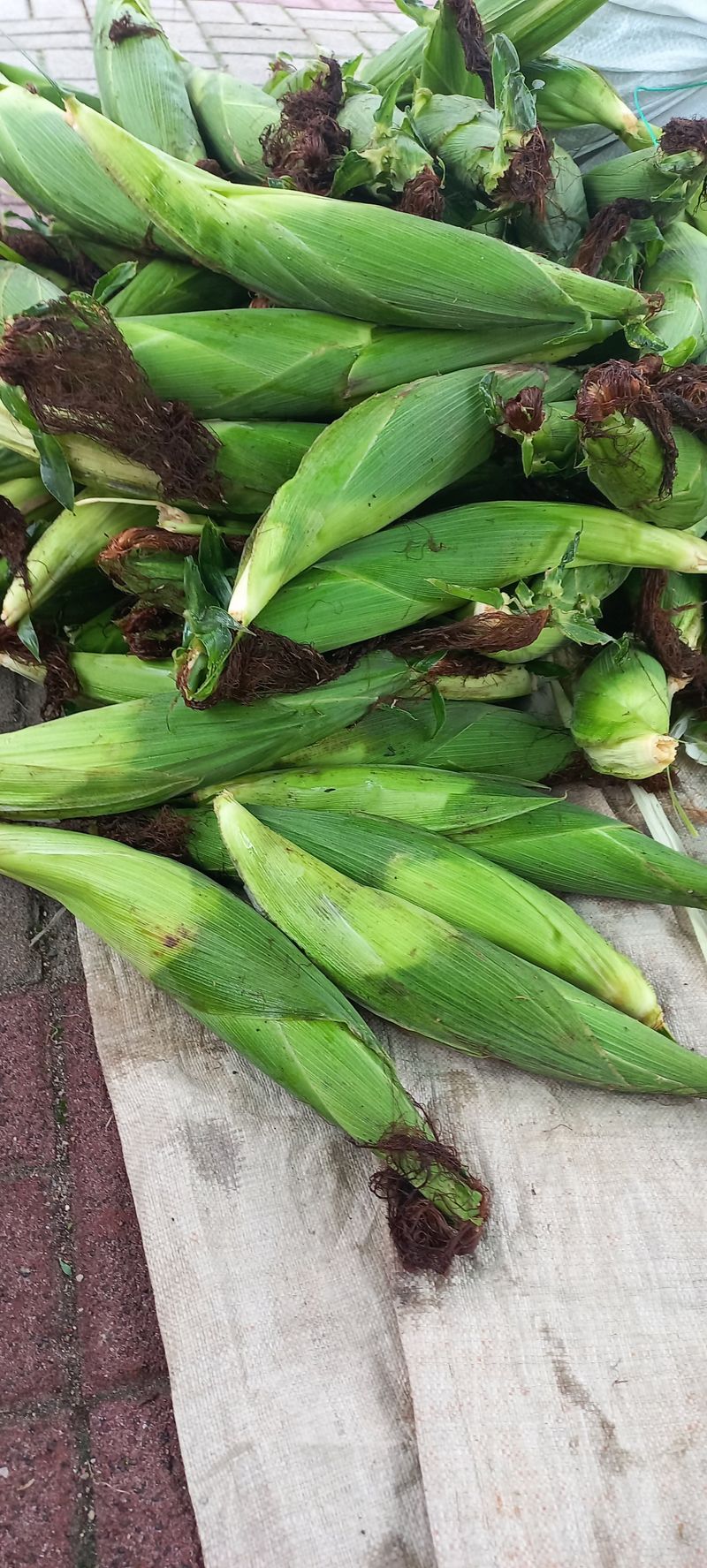 장터 상품 [찰 옥수수] 썸네일