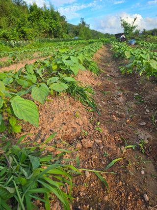 박정원님의 자유주제 · 자유게시판 작성글 사진