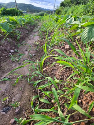 박정원님의 자유주제 · 자유게시판 작성글 사진