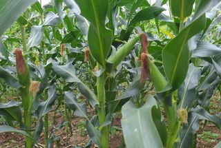 윤인석님의 작성글 사진