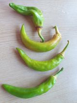 팜모닝 고추·병해충상담 게시글 이미지