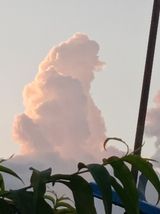 팜모닝 오이·영농일지 게시글 이미지