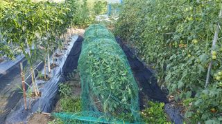 이서구님의 자유주제 · 자유게시판 작성글 사진