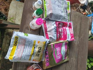 김성원님의 고추 · 영농일지 작성글 사진