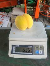 팜모닝 자유주제·사진전 게시글 이미지