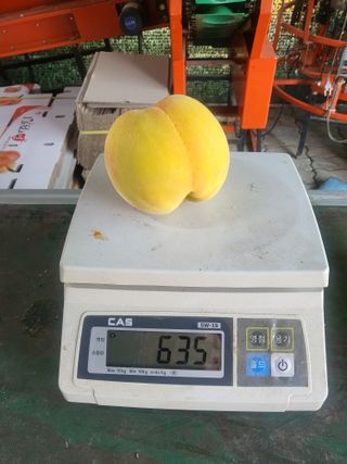 박범재0104195님의 자유주제 · 사진전 작성글 사진