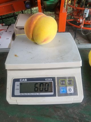 박범재0104195님의 자유주제 · 사진전 작성글 사진