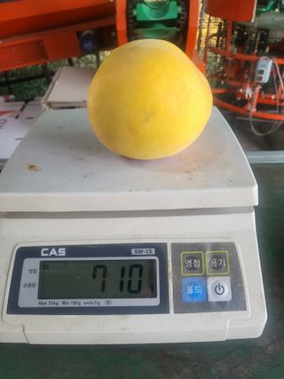 박범재0104195님의 자유주제 · 사진전 작성글 사진